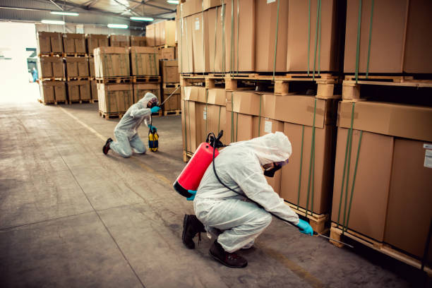 Best Pest Prevention Services  in Boynton Beach, FL