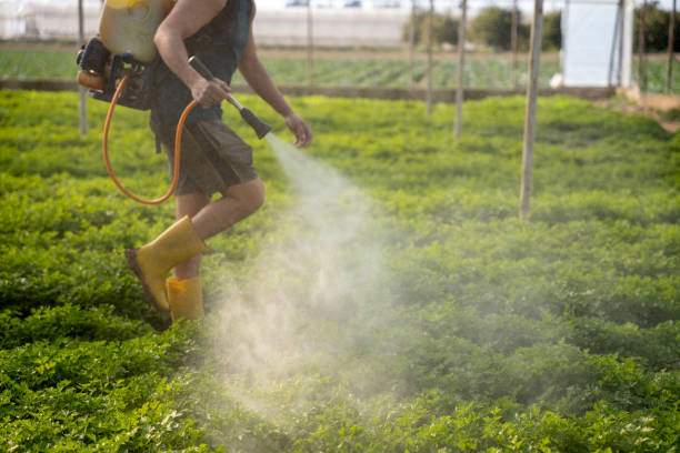 Reliable Boynton Beach, FL Pest Control Solutions