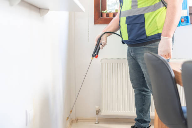 Best Termite Control Services  in Boynton Beach, FL