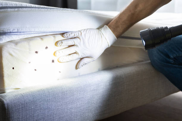 Best Commercial Pest Control Services  in Boynton Beach, FL