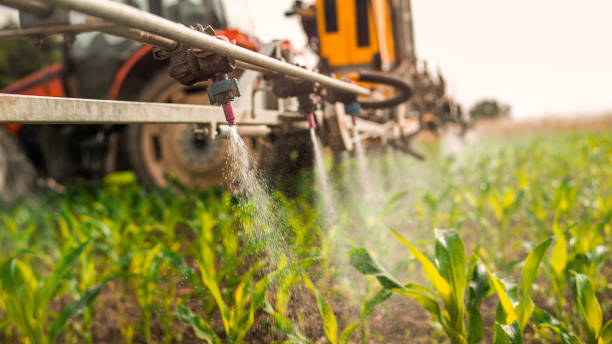 Best Mosquito Control Services  in Boynton Beach, FL